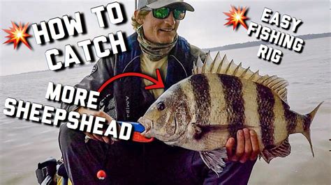 Best fishing rig for sheepshead  5807 posts · Joined 2008